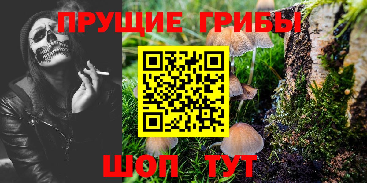 Псилоцибиновые грибы прущие грибы  Галлюциногенные грибы GOLDEN TEACHER  Истра  Вход с VPN 